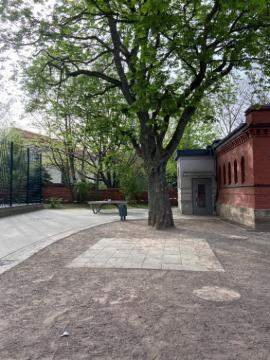 Bildergalerie