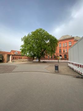 Bildergalerie